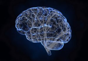 BRAIN TREE BRAINCHEF